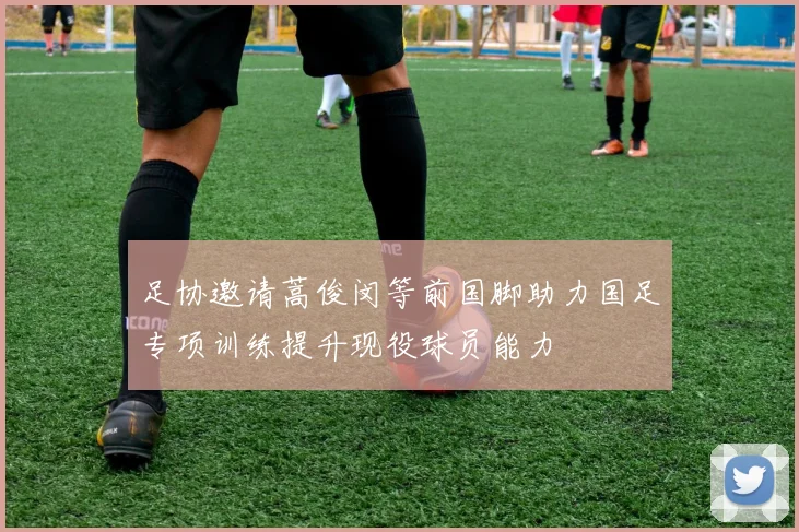 足协邀请蒿俊闵等前国脚助力国足专项训练提升现役球员能力